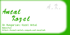 antal kozel business card